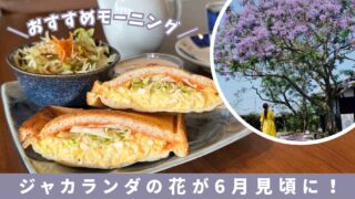 松前町「ジャガランダコーヒー」サムネイル画像