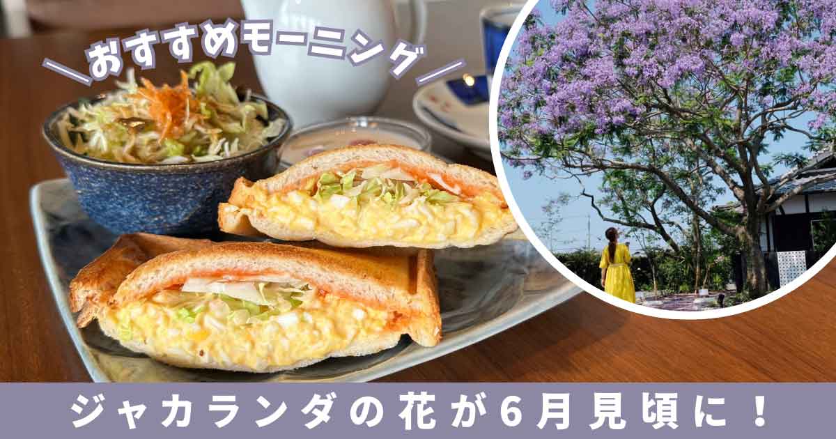 松前町「ジャガランダコーヒー」サムネイル画像