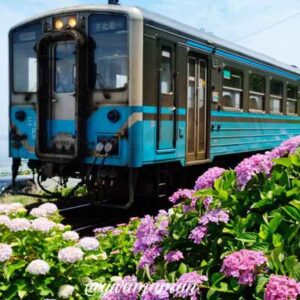 大洲市長浜あじさいロード_サムネイル画像