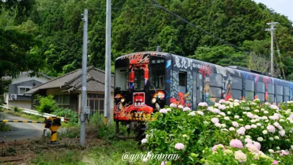 大洲・長浜あじさいロードを通過する予土線の観光列車「鬼列車」