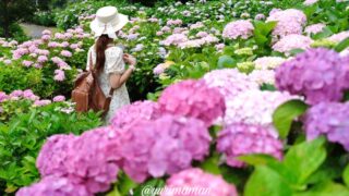 下長瀬あじさい公園（四国中央市）サムネイル画像