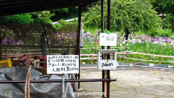 東温市花菖蒲園の入園料