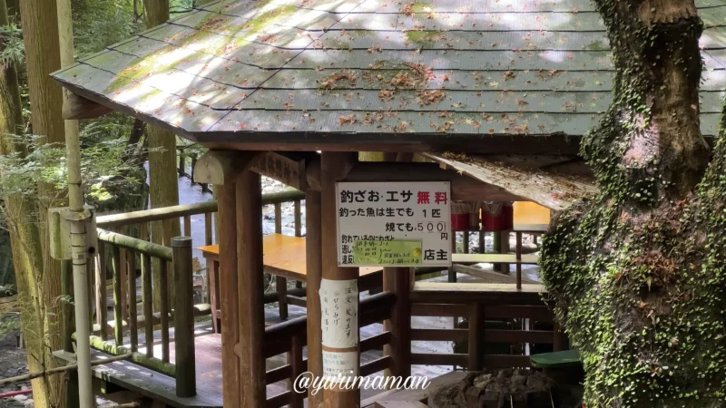 平家谷そうめん流し釣り堀1