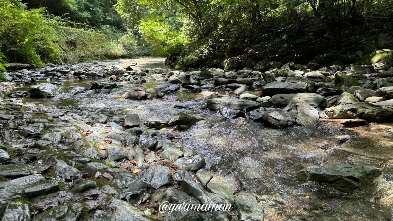 平家谷そうめん流し川遊び1