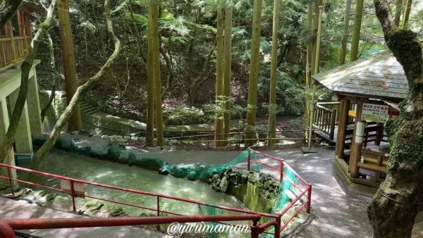 平家谷そうめん流しのニジマス釣り会場の様子