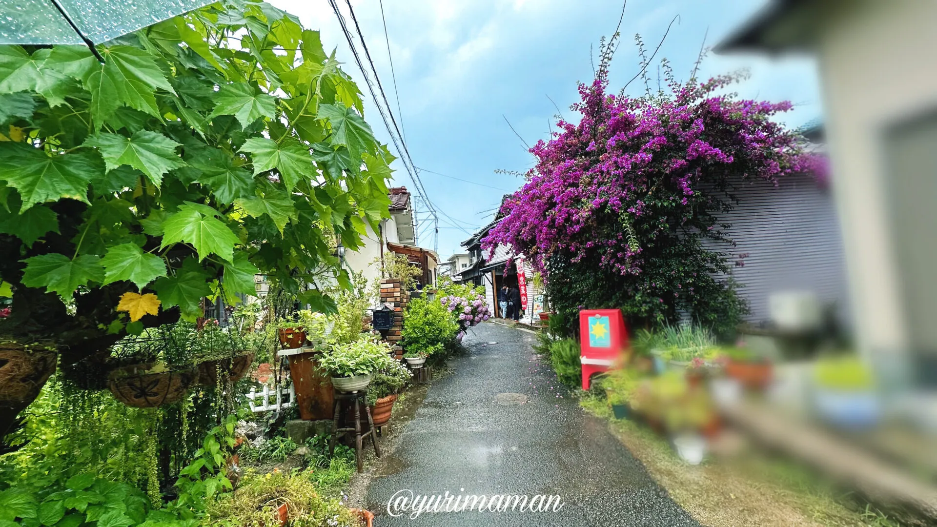 ティーラドチライカ松山堀江移転_外観写真1