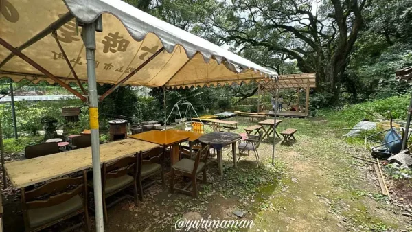 新緑に囲まれた坪内家流しそうめんの会場の様子