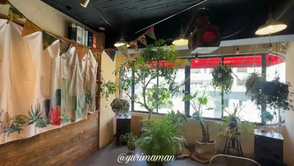 モネノニワ（松山市三番町）内観写真2