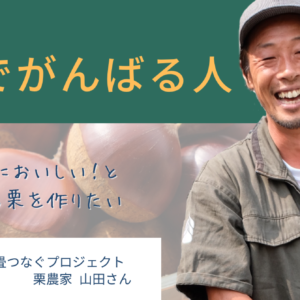 完熟石畳栗_山田さんサムネイル画像
