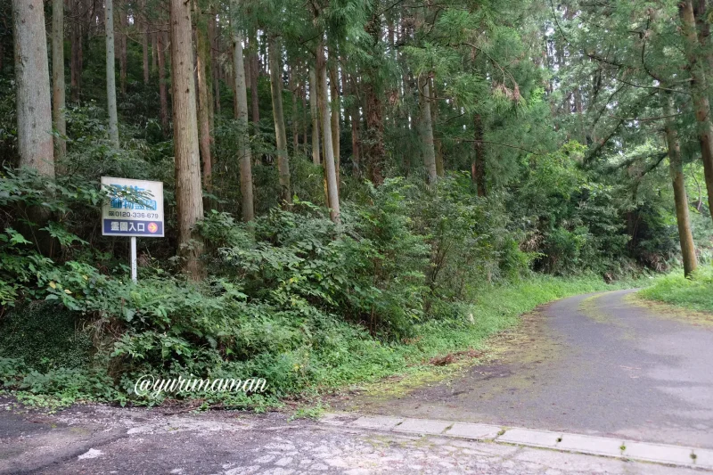 窪野彼岸花群生地駐車場2