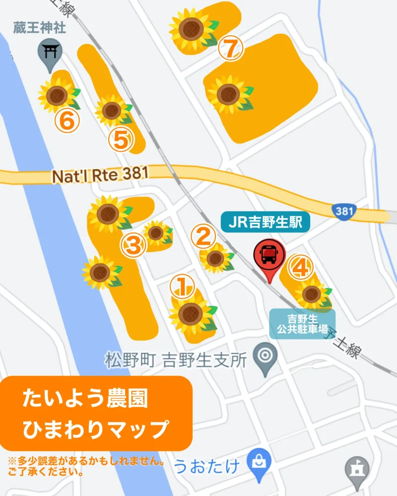 松野町ひまわり畑マップたいよう農園