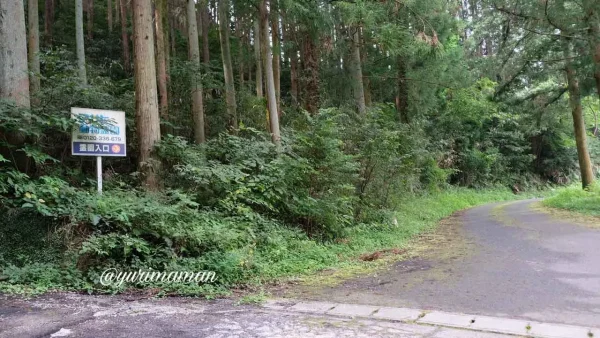 松山市「窪野彼岸花群生地」駐車場アサヒ動物霊園