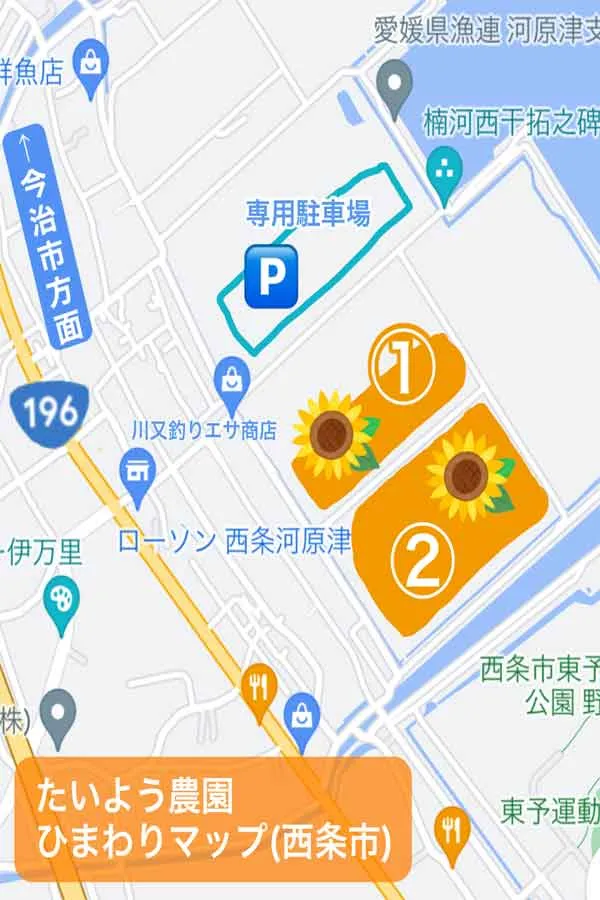 西条市河津原ひまわり畑_たいよう農園マップ
