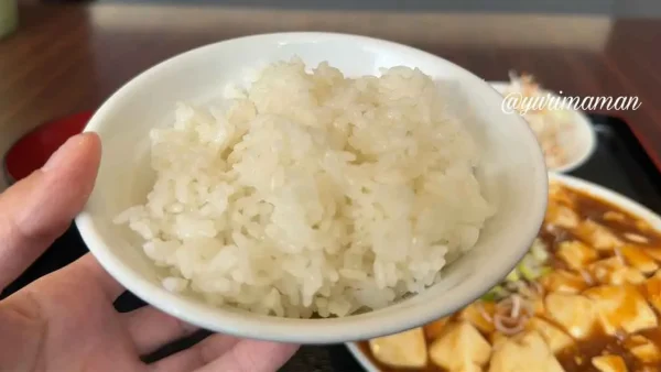 台湾料理昇龍（西条市）日替わりランチのごはんはおかわり自由