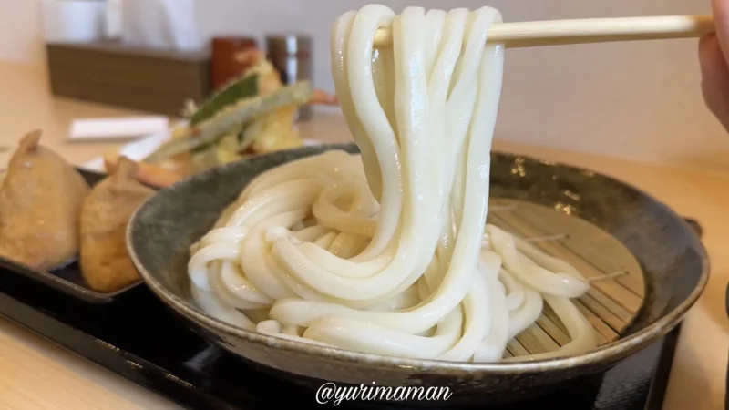 日美うどん_麺1