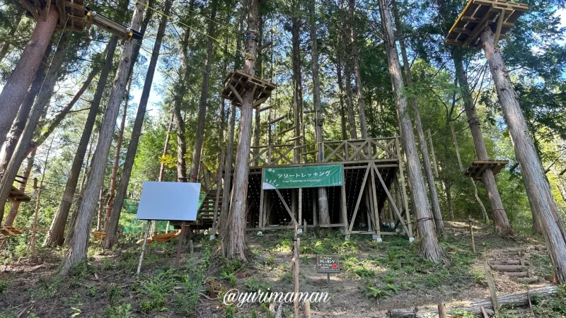 久万高原ふるさと旅行村_ツリートレッキング2