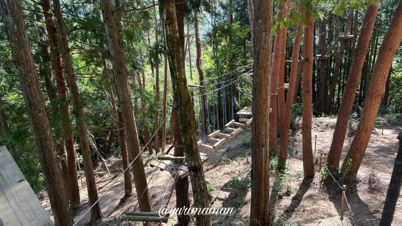 久万高原ふるさと旅行村_ツリートレッキングまとめ