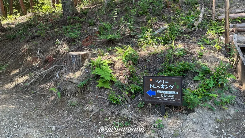 久万高原ふるさと旅行村_ツリートレッキング観覧通路1