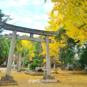 水天宮_東温市イチョウ_サムネイル画像