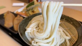 日美うどん_サムネイル画像