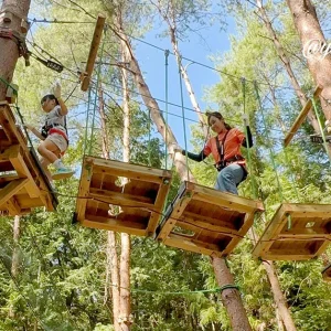 久万高原ふるさと旅行村_ツリートレッキング_サムネイル画像