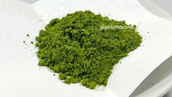霧の森大福に使われる自社生産のかぶせ抹茶 - ゆりママんブログ 霧の森大福に使われる自社生産のかぶせ抹茶