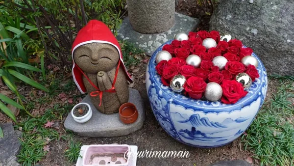 松山市の長建寺｜紅葉ライトアップと一緒に楽しむ華やかな花手水1