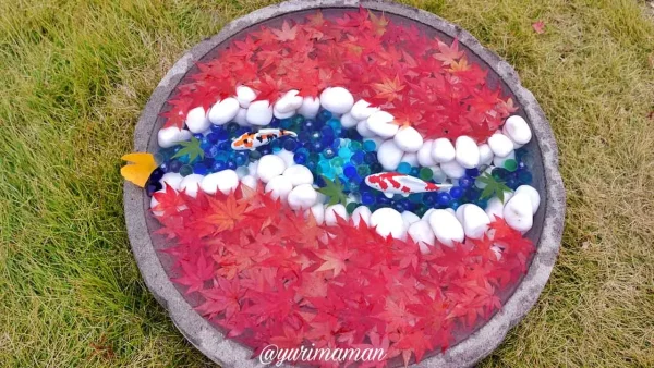 松山市の長建寺｜紅葉ライトアップと一緒に楽しむ華やかな花手水2