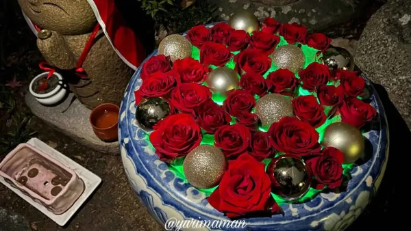 松山市の長建寺｜紅葉ライトアップと一緒に楽しむ華やかな花手水3