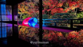 松山市の長建寺で楽しむ紅葉ライトアップ2025|サムネイル画像 - ゆりママんブログ 松山市の長建寺で楽しむ紅葉ライトアップ2025|サムネイル画像