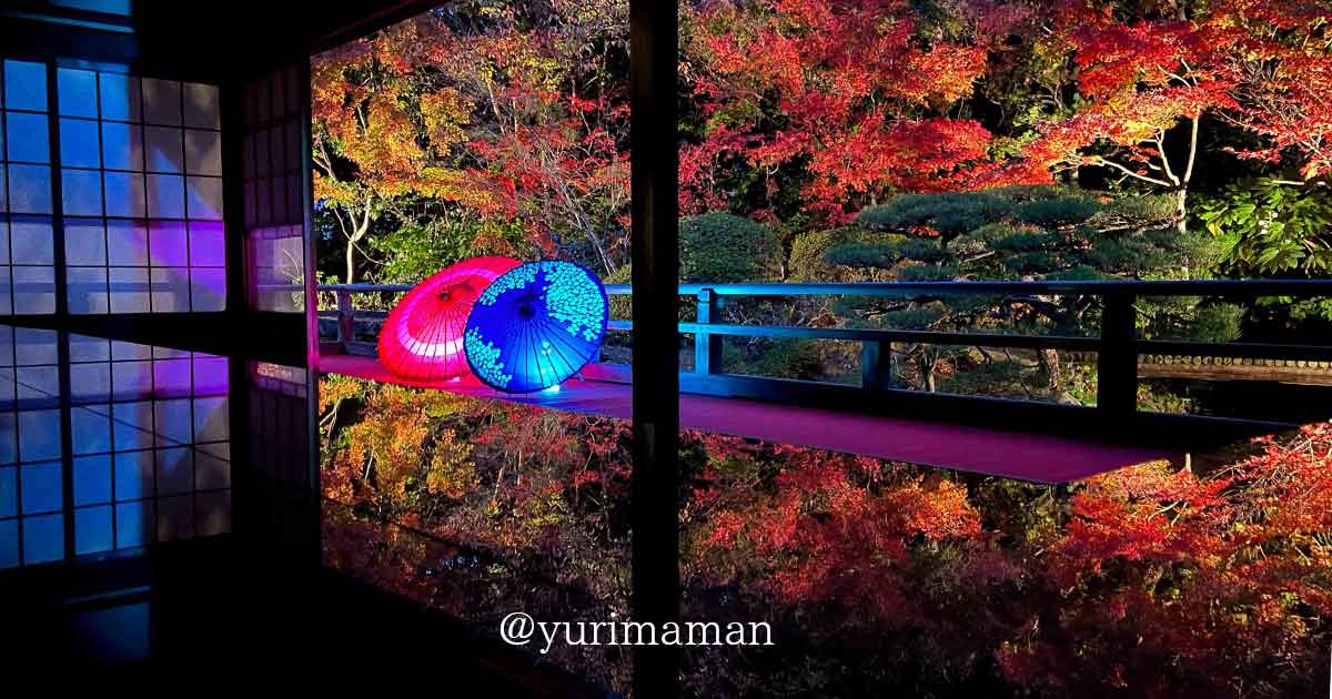 松山市の長建寺で楽しむ紅葉ライトアップ2025｜サムネイル画像