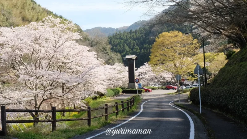 草花ヴィレッジ駐車場