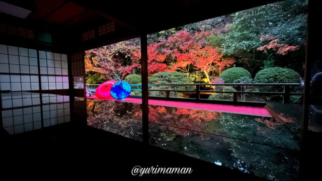 松山市「長建寺」の美しい紅葉ライトアップ！2023年秋の魅力と見どころ