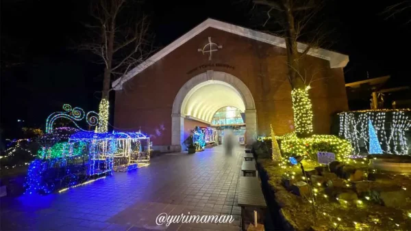 マイントピア別子イルミネーションのエントランス風景2 - ゆりママんブログ マイントピア別子イルミネーションのエントランス風景2