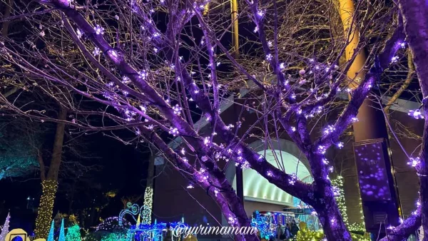 冬花をイメージしたマイントピア別子イルミネーション - ゆりママんブログ 冬花をイメージしたマイントピア別子イルミネーション