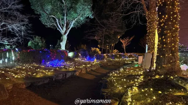 マイントピア別子イルミネーション全体の様子 - ゆりママんブログ マイントピア別子イルミネーション全体の様子