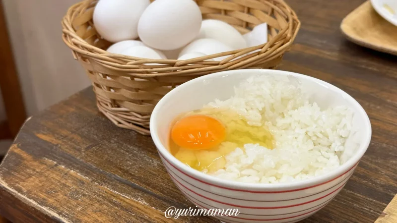 さくら食堂松山_たまごサービス