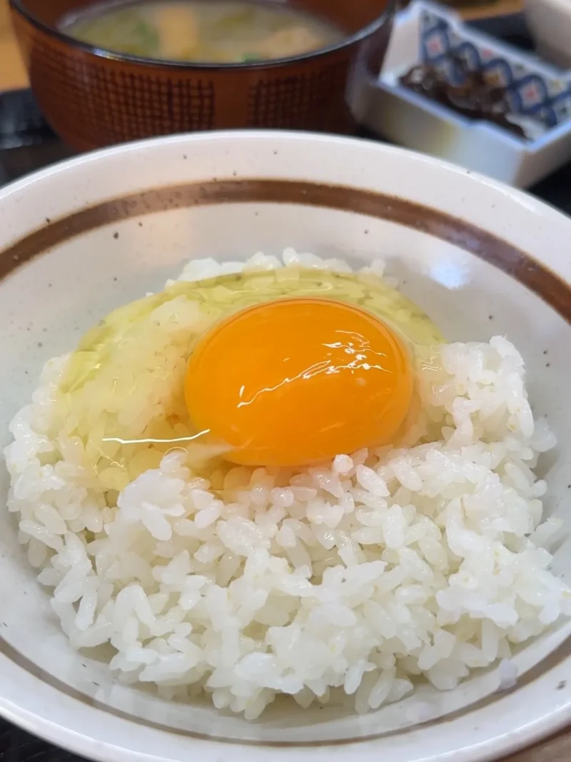 ひめの玉子_松山たまごかけご飯3