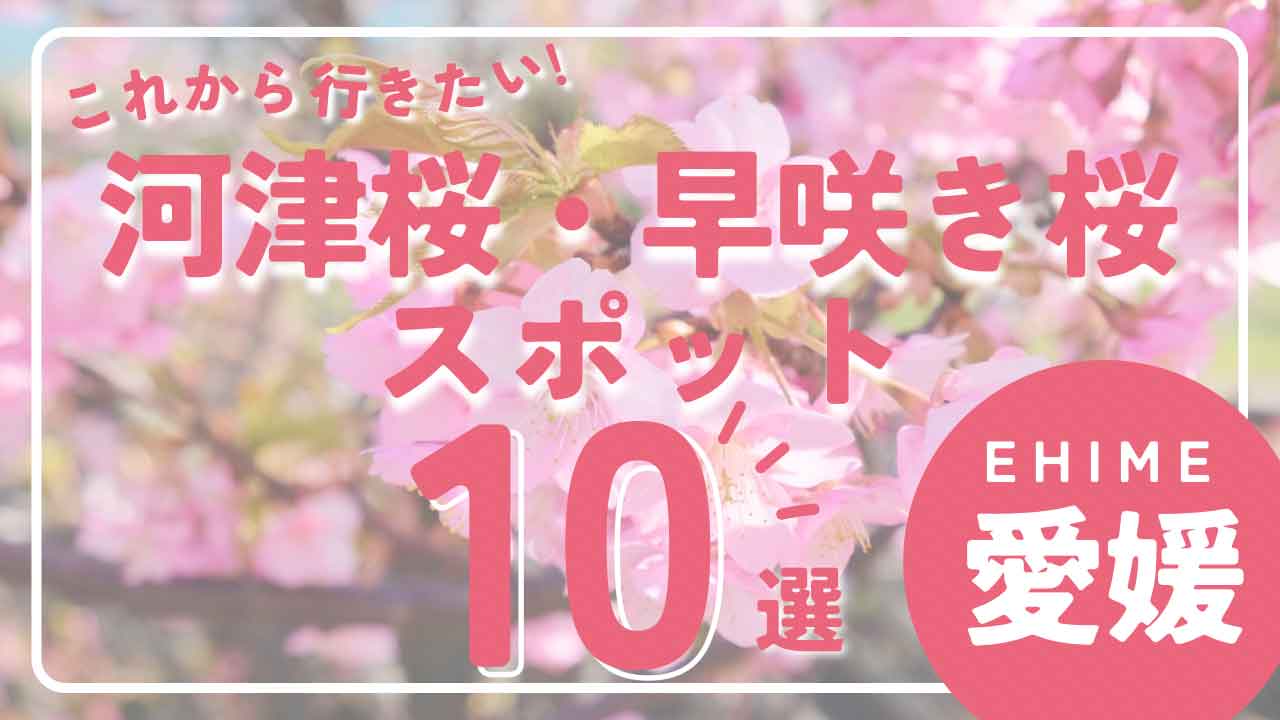 愛媛県内の河津桜スポットまとめ_サムネイル画像