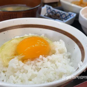 ひめの玉子_サムネイル画像