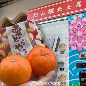 松山観光土産自動販売機_サムネイル画像