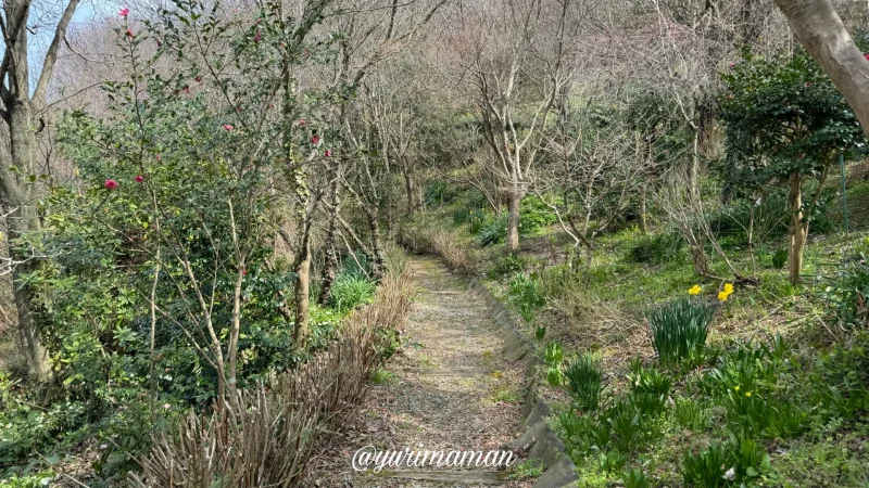 夢うらら遊歩道1