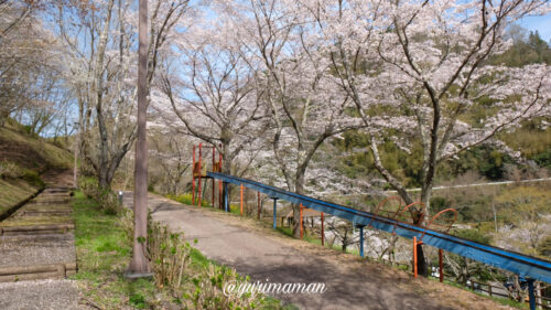 栗の里公園の桜と遊具1