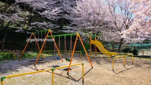 桜の名所と遊具_お花見スポット愛媛2