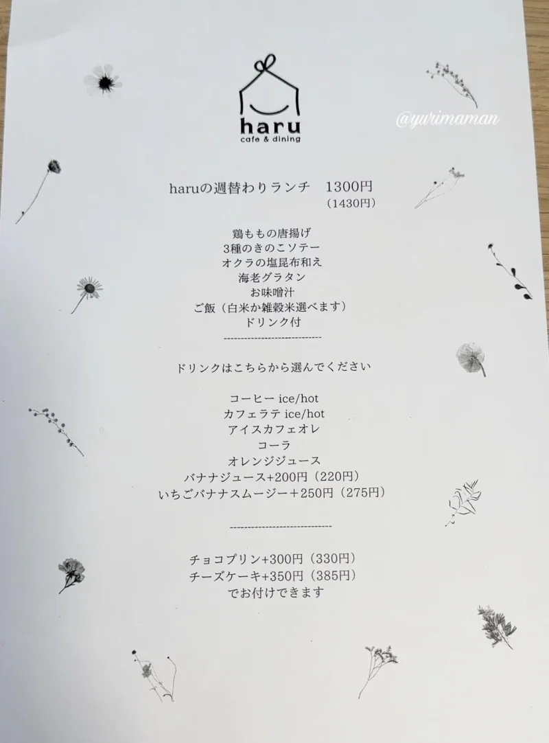 haruハル_松山カフェランチメニュー1