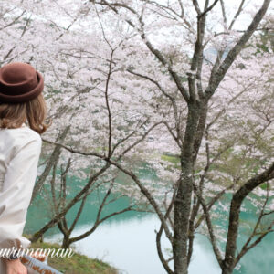 愛媛桜めぐり_サムネイル画像