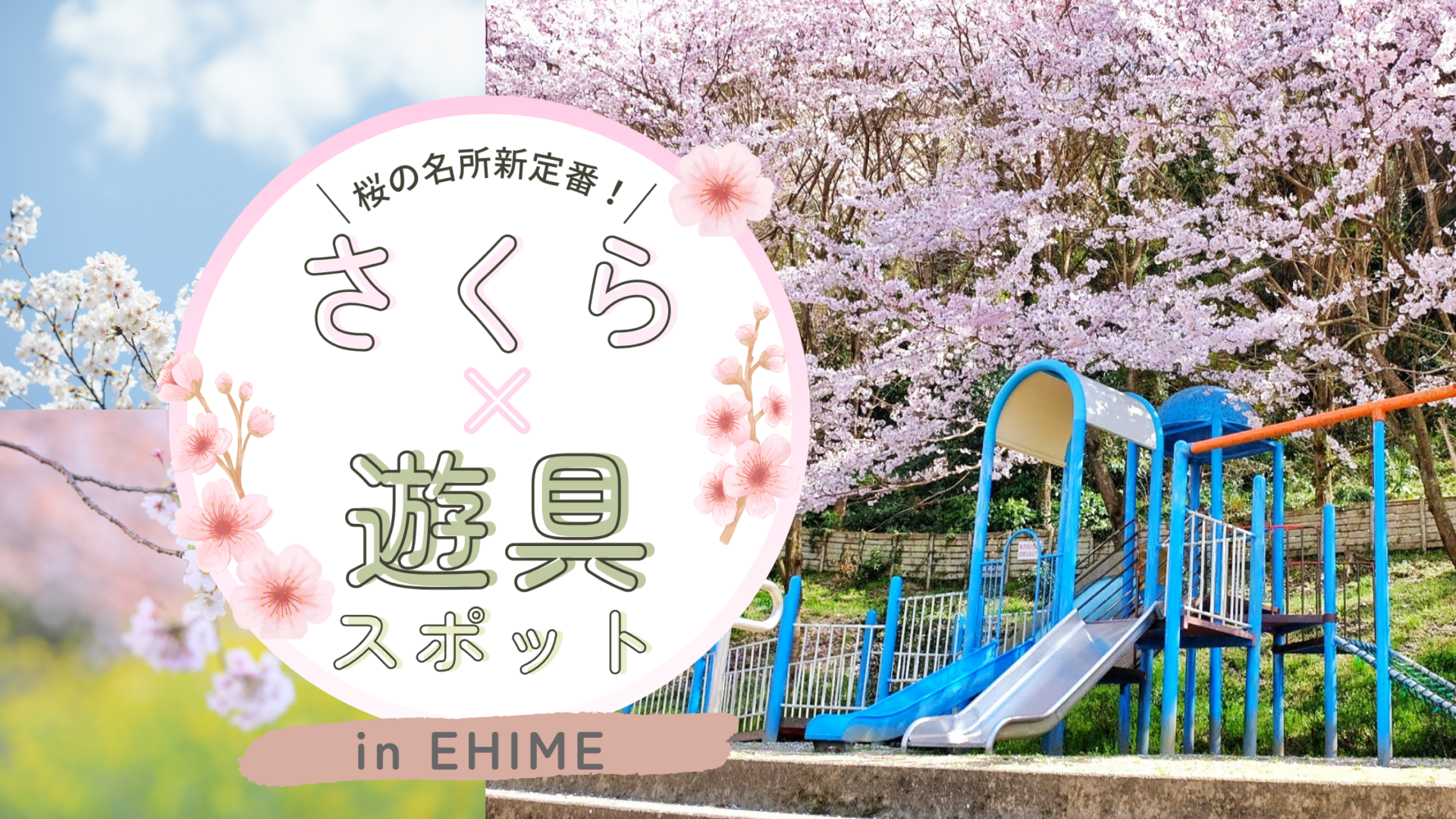 桜の名所と遊具_お花見スポット愛媛_サムネイル画像