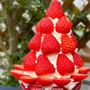 くまさんカフェ_サムネイル画像