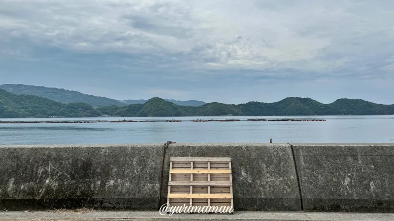 お菓しとそらしと_八幡浜市_海が見える