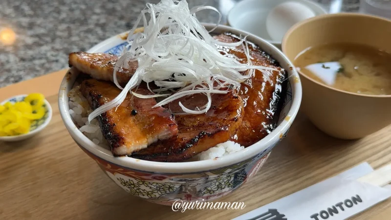 元祖豚丼屋TONTON新居浜店_まとめ